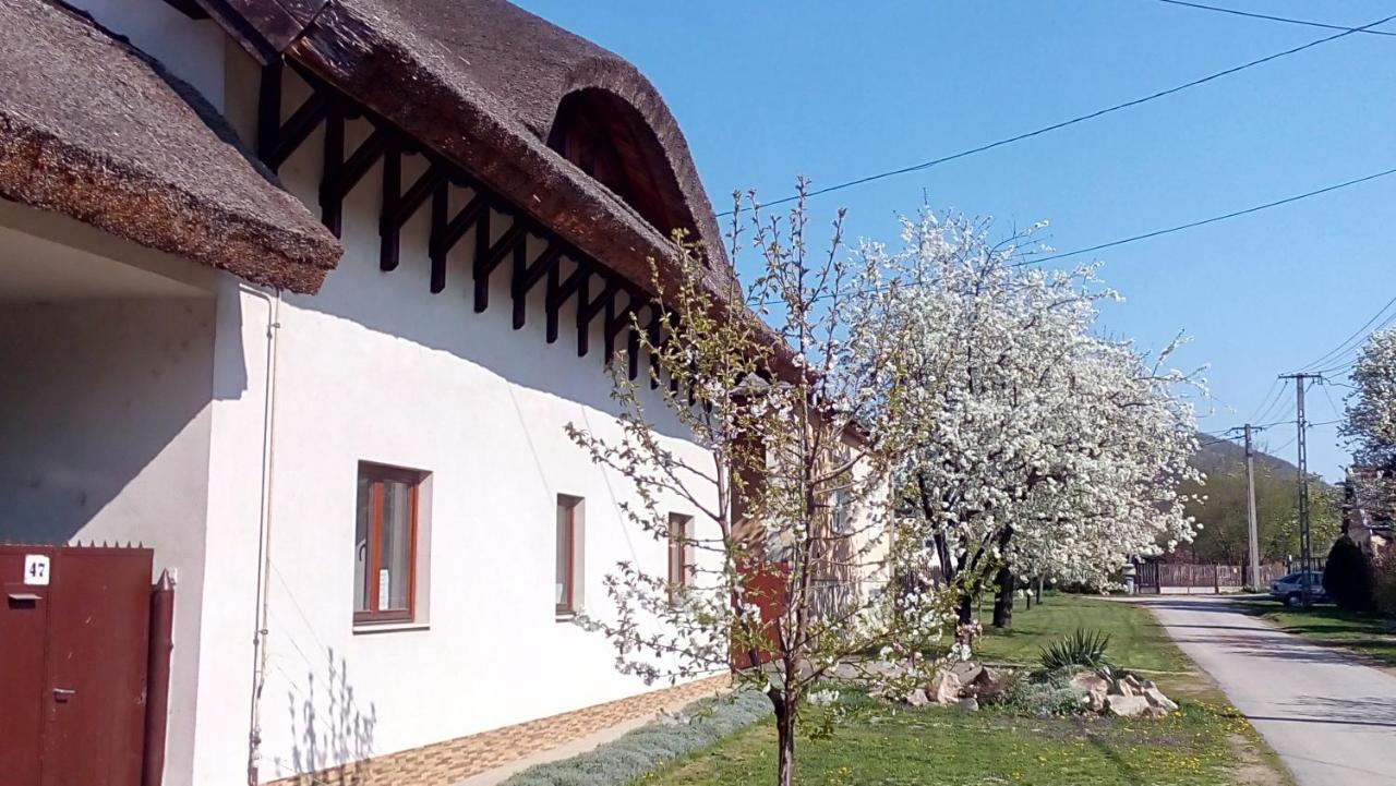 Ferienwohnung Julia Vendeghaz Tar Exterior foto
